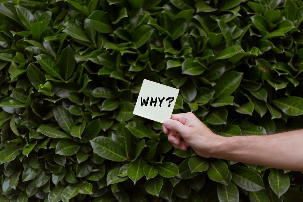 Question marks on sticky notes